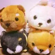 てるやん☆の画像