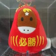 いわっち 【プロフ必読】の画像
