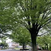 にくまんの画像