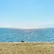 SSSの画像