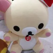 コッちゃんの画像