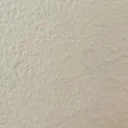 ニャコの画像