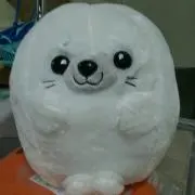 oyaotomaの画像