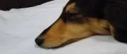 RN　プロフ読んでくださいの画像