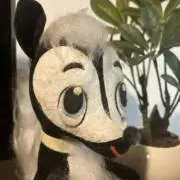 ✨Tom’s room✨の画像
