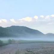 釣りバカスニーカー