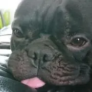 choco