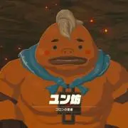 流浪のユン坊の画像