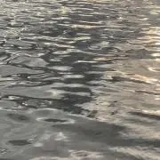 kikunaの画像
