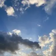 かえるの子