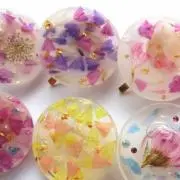 purepalet❁*·⑅の画像