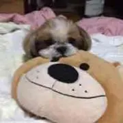 純たん♪ プロフ読んでねの画像