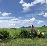 ATの画像