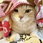 まさちゃんの画像