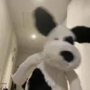 千