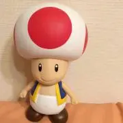 のこのこ