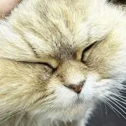 まる。の画像