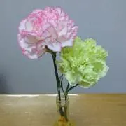 さみの画像