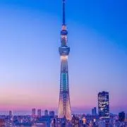 ぽっちゃまの画像
