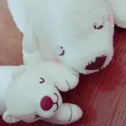 ケイ【プロフ要確認】の画像