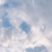りぃの画像