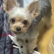 なつ✨即購入OKの画像