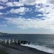 sakaの画像
