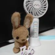 ぜんぜん層の画像