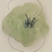 rnの画像