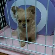 ✿おきちゃん✿*プロフ必読*