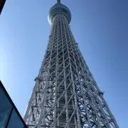 pinoの画像