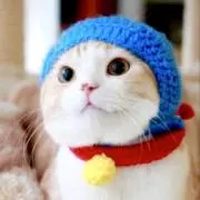 ねこたけ プロフ確認お願いします★の画像