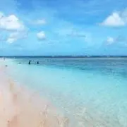 A..の画像