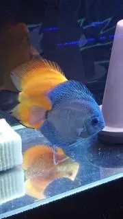 タケさんの画像