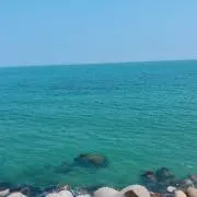 sakiの画像