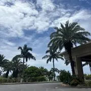 SATOの画像