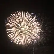 ちょちょの画像