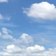 まるこの画像