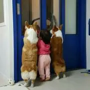 Yucaの画像