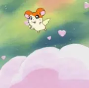 ほくぴょんの画像