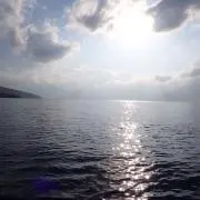 あんにょの画像