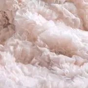 カリンの画像