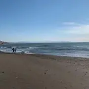 メルコメ