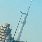 パパイヤ星人