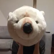 kykの画像