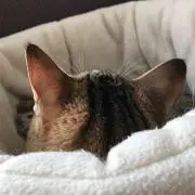miiiの画像