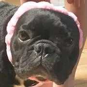 teetsunの画像