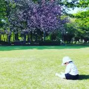 minoの画像