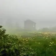 プロフ必読の画像