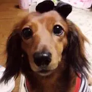 MIU